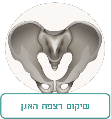 שיקום רצפת האגן